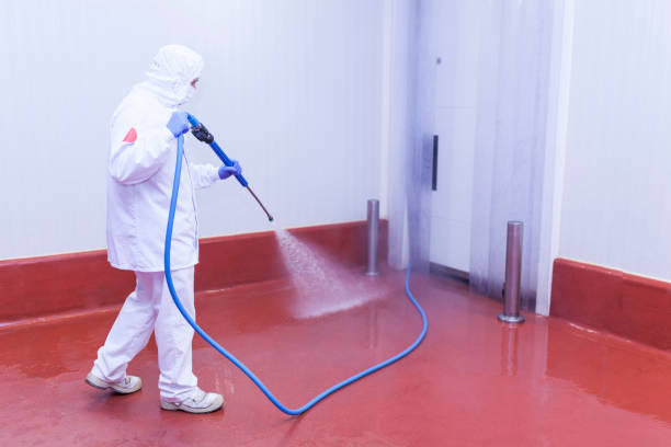 Best Boat and Dock Cleaning  in Frankford, DE