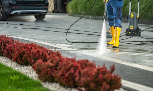 Best Sidewalk and Walkway Cleaning  in Frankford, DE