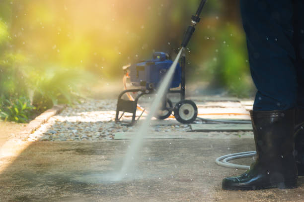 Best Soft Washing  in Frankford, DE
